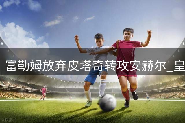富勒姆放弃皮塔奇转攻安赫尔 皇马拒放新星